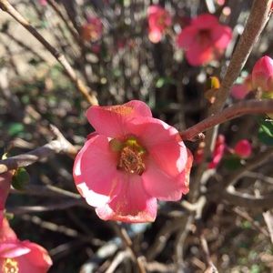 Meet your Posher, Vickie